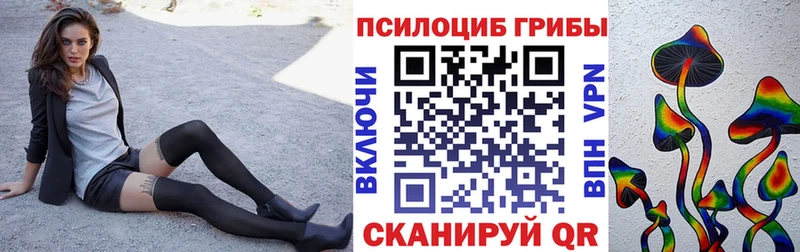 наркошоп  Вытегра  Псилоцибиновые грибы мухоморы 
