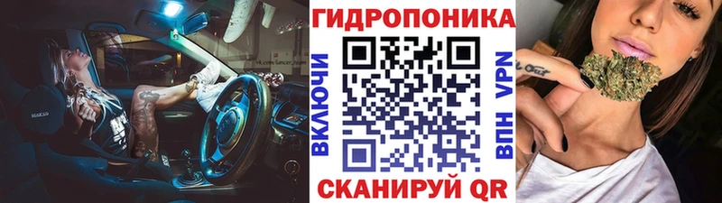 МАРИХУАНА план  где найти наркотики  Вытегра 